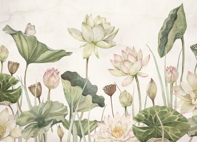 Lovely Water Lillies 2020