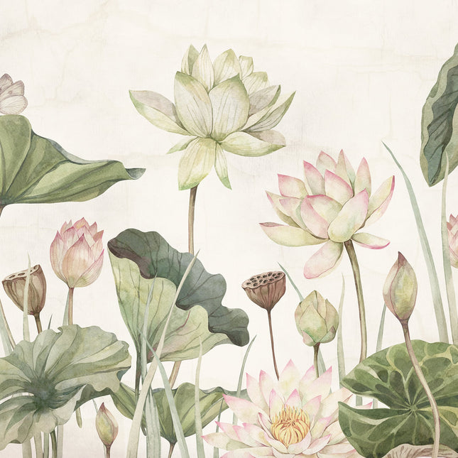 Lovely Water Lillies 2020