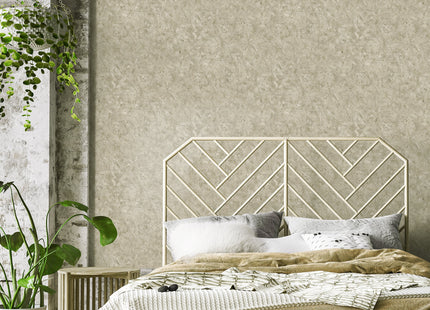 Feronia Umber Brown