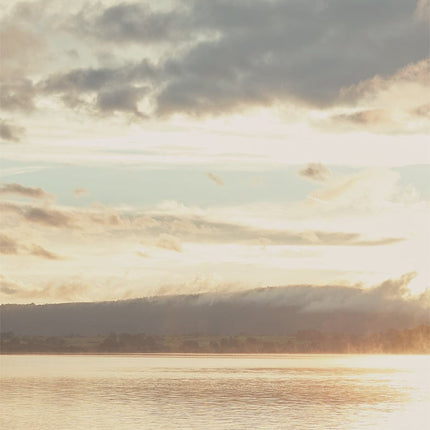 Wallpower Favourites 309023