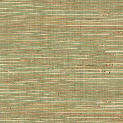 Muster von Natural Wallcoverings III 303508