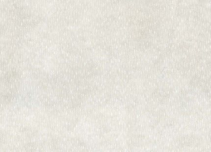 ÈXODO 80556-4B_H2O