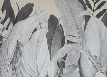 Muster von Tropical Forest 18000