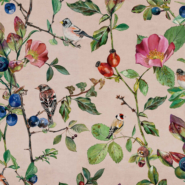 Goldfinch Song 9500032