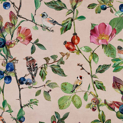 Goldfinch Song 9500032