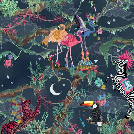 Balancing Act Nightfall BMCF003/01C