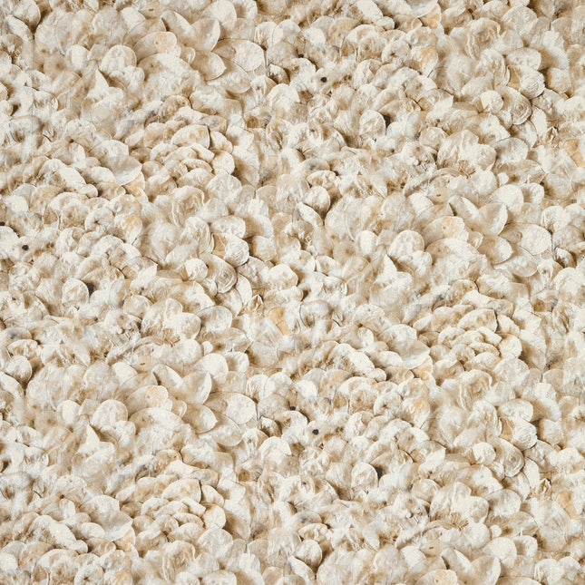 Muster von Salt,  Arco Nutmeg