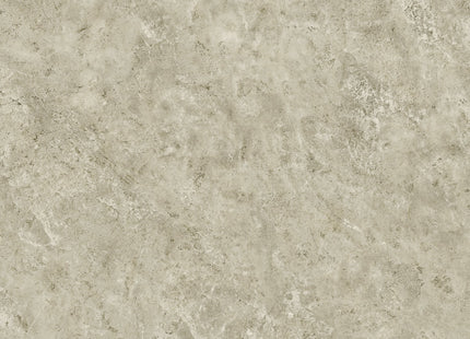 Feronia Umber Brown