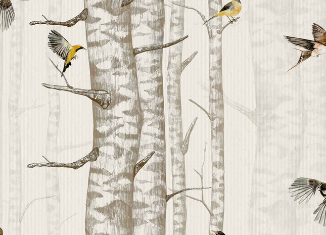 Birch Trees 9500041V