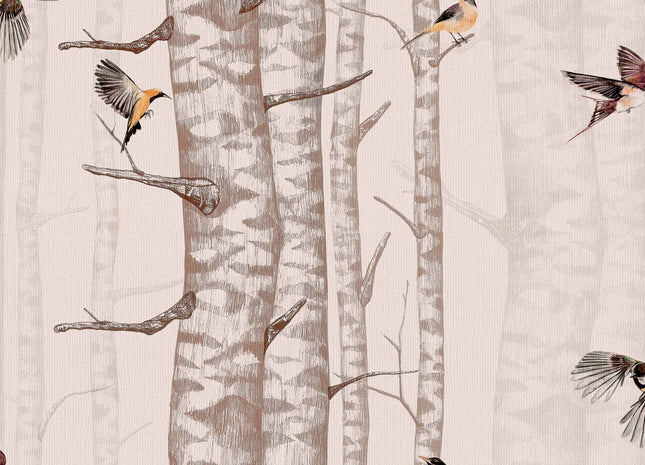 Birch Trees 9500043V