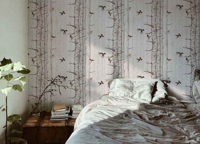 Birch Trees 9500043V