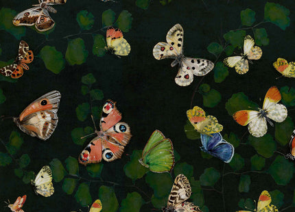 Magic butterflies 9500050V