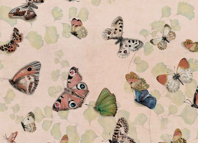 Magic butterflies 9500052N