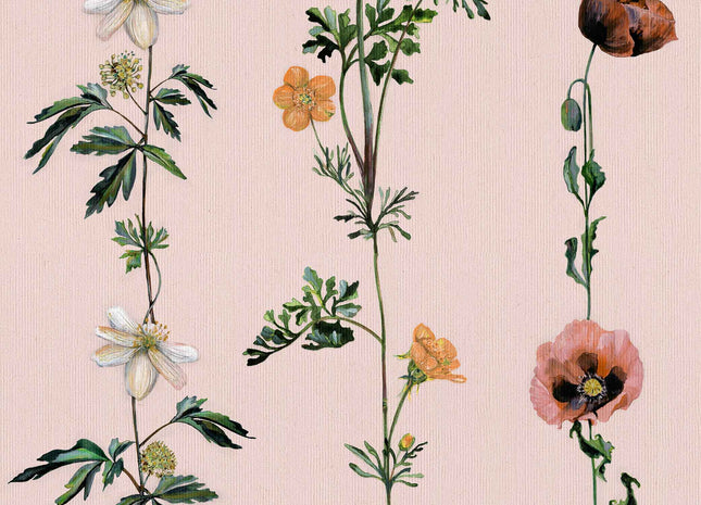 Climbing Flowers 9500061V
