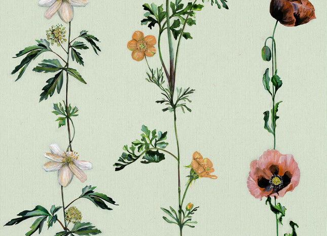 Climbing Flowers 9500062V