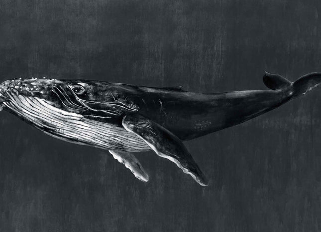 Humpback Whale 9500102V