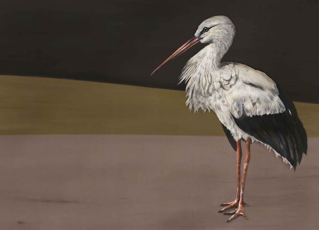 Stork Mother 9500300V