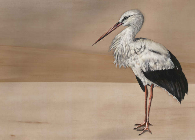 Stork Mother 9500301N