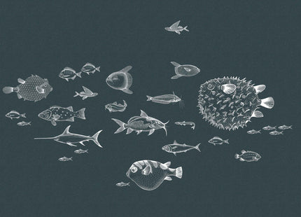 Sea Current 9500602N