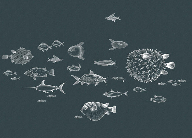 Sea Current 9500602V