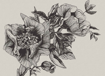Giant Peonies 9500700V