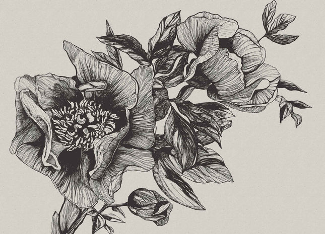 Giant Peonies 9500700N
