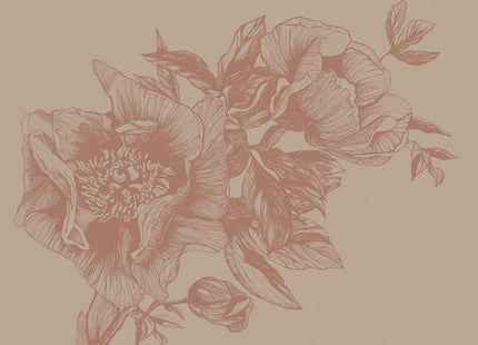Giant Peonies 9500702V