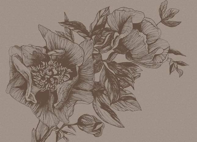 Giant Peonies 9500703V