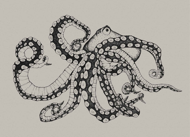 Octopus X-Ray 9500800N
