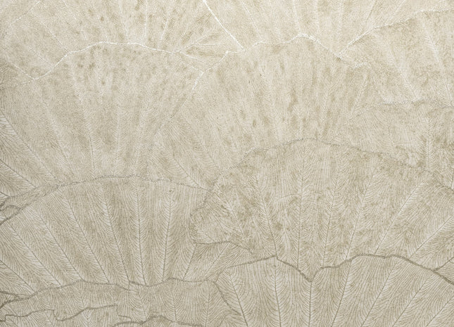 Seashell 65003-HTM