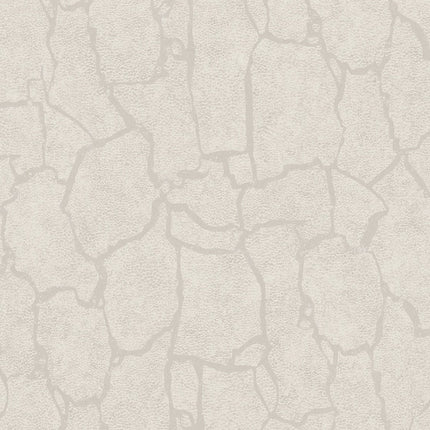 Muster von Skin 300530