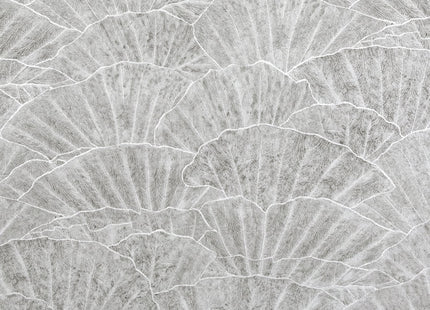 Muster von Seashell 65002-HTM