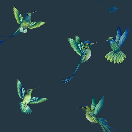 Exotic Birds Midnight Blue BMTD001/08C
