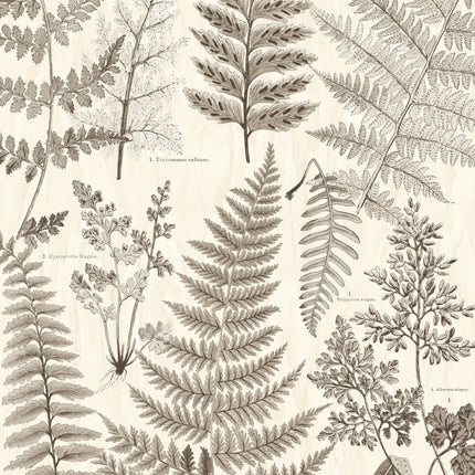 Wallpower Favourites 309018