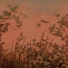 Collection image for: Vintage