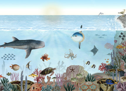 Ocean Lookbook 2085