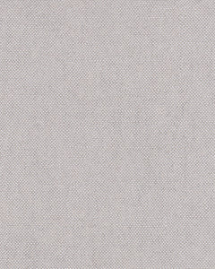 Collection image for: Aquila