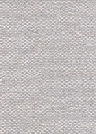 Lys Cloud CLR007