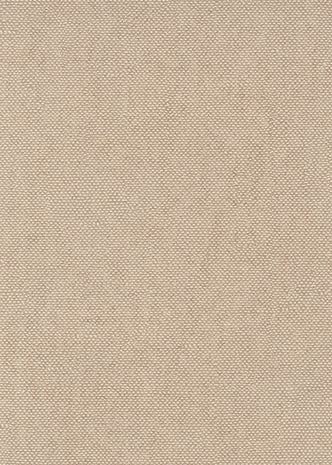 Lys Angora CLR012