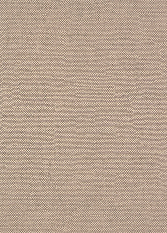 Lys Coconut CLR013