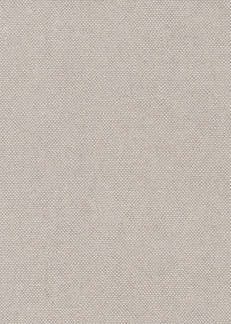 Lys Clay CLR022