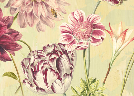 Elise Linen DG2ELI1022
