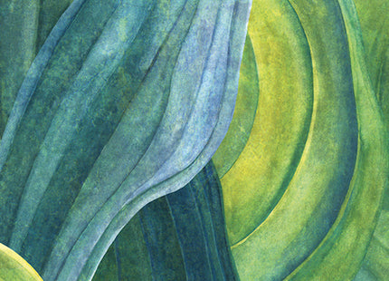Muster von Hosta Aqua DG2HOS1012