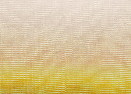 Shady Sun DG2SHA102