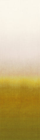 Shady Sun DG2SHA102