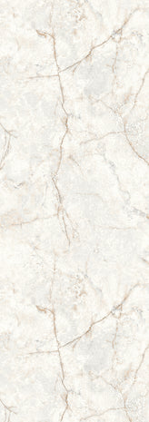 Carrara Camel DG3CAR1041
