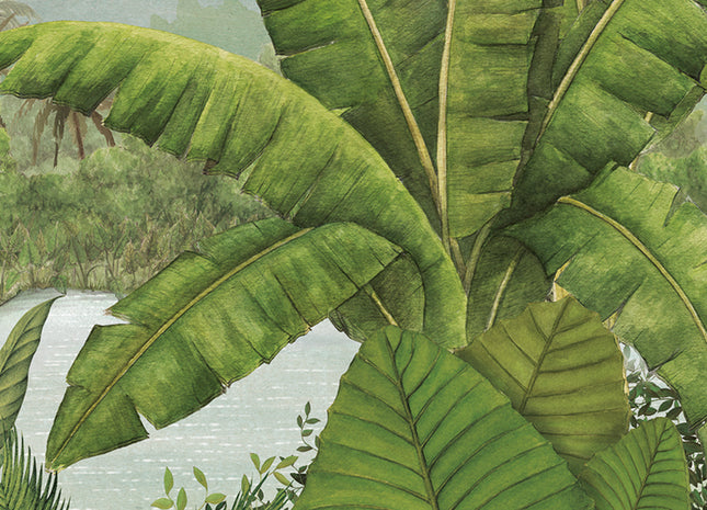 Rainforest Bloom DG3RAI1033
