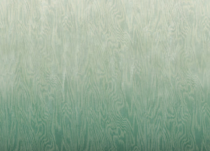 Moire Green DG4MOI1022-260