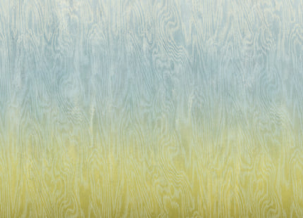 Moire Sea DG4MOI1071-260