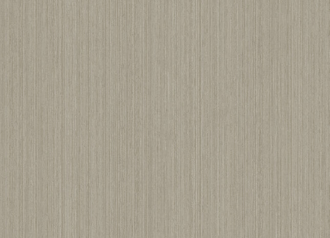 Ellis Oyster FER505